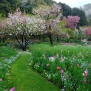 ヒメ日記 2025/04/14 11:55 投稿 あさこ 横浜おかあさん