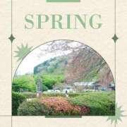 ヒメ日記 2025/04/16 13:35 投稿 あさこ 横浜おかあさん