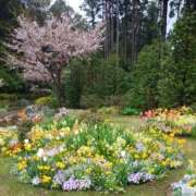 ヒメ日記 2025/04/25 18:34 投稿 あさこ 横浜おかあさん