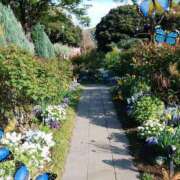 ヒメ日記 2025/04/27 21:45 投稿 あさこ 横浜おかあさん