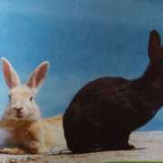 ヒメ日記 2025/04/28 18:45 投稿 あさこ 横浜おかあさん