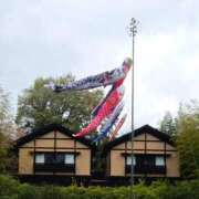 ヒメ日記 2025/05/05 18:41 投稿 あさこ 横浜おかあさん