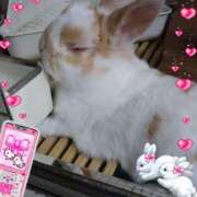 ヒメ日記 2025/05/06 13:25 投稿 あさこ 横浜おかあさん