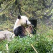 ヒメ日記 2025/05/08 12:05 投稿 あさこ 横浜おかあさん