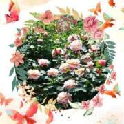 ヒメ日記 2025/05/09 21:05 投稿 あさこ 横浜おかあさん