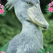 ヒメ日記 2025/05/22 13:45 投稿 あさこ 横浜おかあさん