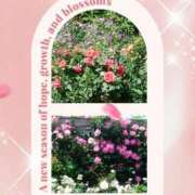 ヒメ日記 2025/05/27 19:55 投稿 あさこ 横浜おかあさん