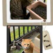 ヒメ日記 2025/05/30 13:15 投稿 あさこ 横浜おかあさん