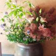 ヒメ日記 2025/05/31 11:15 投稿 あさこ 横浜おかあさん