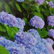 ヒメ日記 2025/06/14 19:36 投稿 あさこ 横浜おかあさん