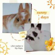 ヒメ日記 2025/06/22 18:45 投稿 あさこ 横浜おかあさん