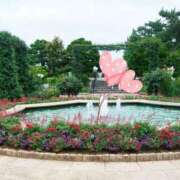 ヒメ日記 2025/06/26 18:45 投稿 あさこ 横浜おかあさん