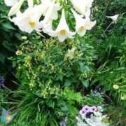 ヒメ日記 2025/06/30 19:25 投稿 あさこ 横浜おかあさん