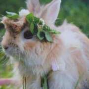 ヒメ日記 2025/07/04 20:05 投稿 あさこ 横浜おかあさん