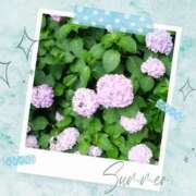 ヒメ日記 2025/07/05 18:37 投稿 あさこ 横浜おかあさん