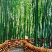 ヒメ日記 2025/07/08 19:25 投稿 あさこ 横浜おかあさん