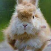 ヒメ日記 2025/07/10 18:35 投稿 あさこ 横浜おかあさん