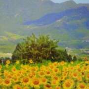 ヒメ日記 2025/07/11 19:55 投稿 あさこ 横浜おかあさん