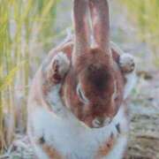 ヒメ日記 2025/07/17 19:17 投稿 あさこ 横浜おかあさん