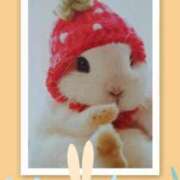 ヒメ日記 2025/07/27 18:05 投稿 あさこ 横浜おかあさん