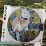 ヒメ日記 2025/07/31 18:25 投稿 あさこ 横浜おかあさん