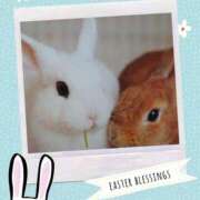 ヒメ日記 2025/08/05 19:39 投稿 あさこ 横浜おかあさん