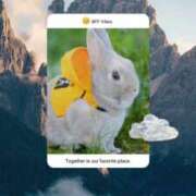 ヒメ日記 2025/08/15 18:35 投稿 あさこ 横浜おかあさん