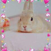 ヒメ日記 2025/08/16 18:25 投稿 あさこ 横浜おかあさん