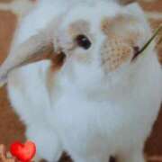 ヒメ日記 2025/08/19 19:25 投稿 あさこ 横浜おかあさん