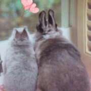 ヒメ日記 2025/08/26 18:45 投稿 あさこ 横浜おかあさん