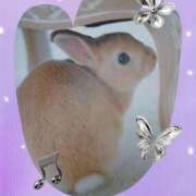 ヒメ日記 2025/08/28 19:43 投稿 あさこ 横浜おかあさん