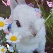 ヒメ日記 2025/08/31 18:55 投稿 あさこ 横浜おかあさん