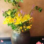 ヒメ日記 2025/08/31 19:08 投稿 あさこ 横浜おかあさん