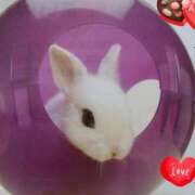 ヒメ日記 2025/09/02 18:35 投稿 あさこ 横浜おかあさん