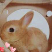 ヒメ日記 2025/09/04 18:40 投稿 あさこ 横浜おかあさん