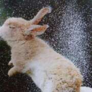 ヒメ日記 2025/09/05 12:25 投稿 あさこ 横浜おかあさん