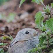 ヒメ日記 2025/09/06 18:25 投稿 あさこ 横浜おかあさん