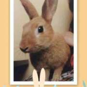 ヒメ日記 2025/09/11 17:29 投稿 あさこ 横浜おかあさん