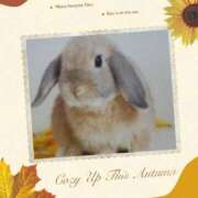 ヒメ日記 2025/09/19 17:56 投稿 あさこ 横浜おかあさん