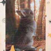 ヒメ日記 2025/09/20 13:15 投稿 あさこ 横浜おかあさん