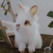 ヒメ日記 2025/09/23 18:17 投稿 あさこ 横浜おかあさん