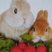 ヒメ日記 2025/10/02 17:55 投稿 あさこ 横浜おかあさん