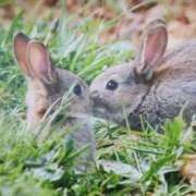 ヒメ日記 2025/10/03 17:50 投稿 あさこ 横浜おかあさん