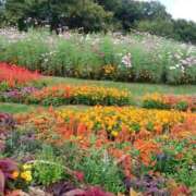 ヒメ日記 2025/10/07 13:42 投稿 あさこ 横浜おかあさん