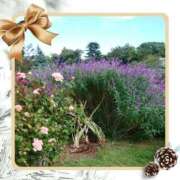 ヒメ日記 2025/10/08 18:15 投稿 あさこ 横浜おかあさん