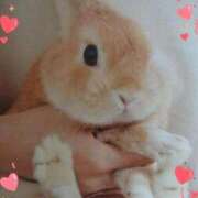 ヒメ日記 2025/10/10 09:33 投稿 あさこ 横浜おかあさん