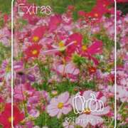 ヒメ日記 2025/10/10 18:55 投稿 あさこ 横浜おかあさん