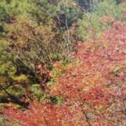 ヒメ日記 2025/10/14 18:55 投稿 あさこ 横浜おかあさん