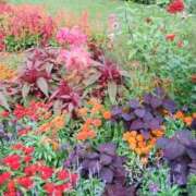 ヒメ日記 2025/10/21 17:15 投稿 あさこ 横浜おかあさん