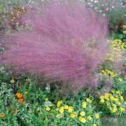 ヒメ日記 2025/10/23 12:29 投稿 あさこ 横浜おかあさん